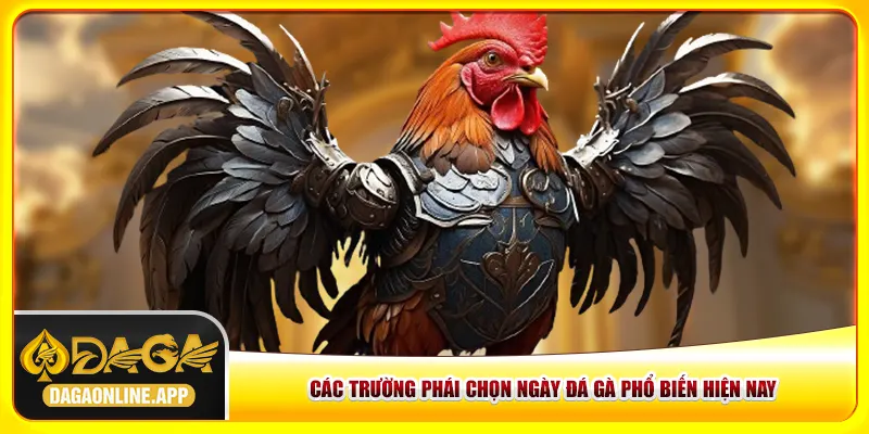 Các trường phái chọn ngày đá gà phổ biến hiện nay