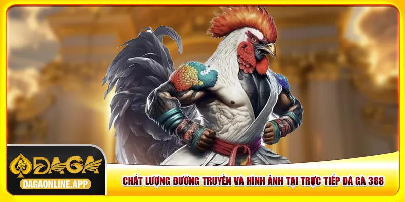 Chất lượng đường truyền và hình ảnh tại trực tiếp đá gà 388