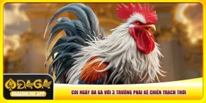 Coi Ngày Đá Gà Với 3 Trường Phái Kê Chiến Trạch Thời
