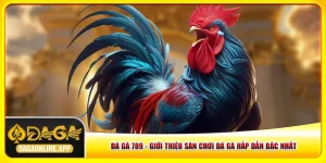 Đá Gà 789 - Giới Thiệu Sân Chơi Đá Gà Hấp Dẫn Bậc Nhất