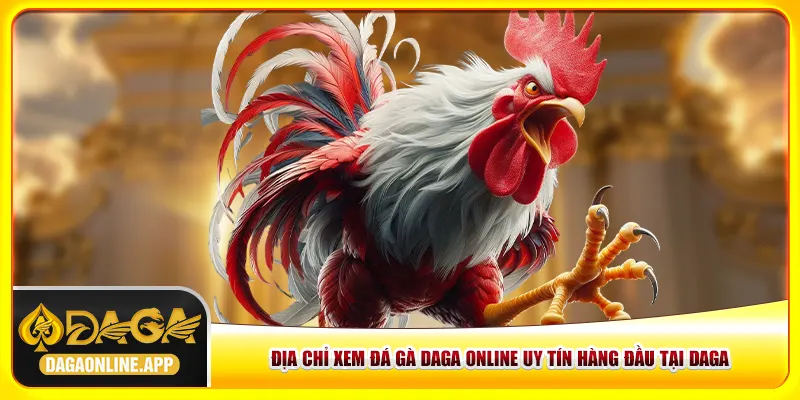 Địa chỉ xem đá gà Daga online uy tín hàng đầu tại Daga