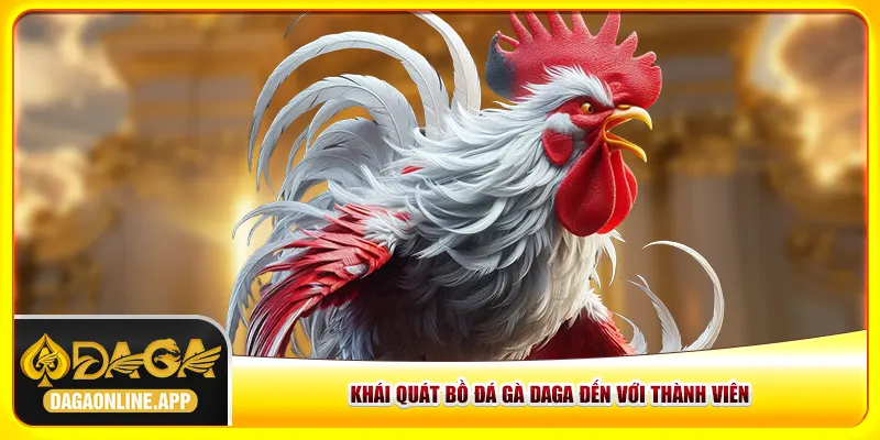 Khái đấu trường đá gà Daga đến với thành viên