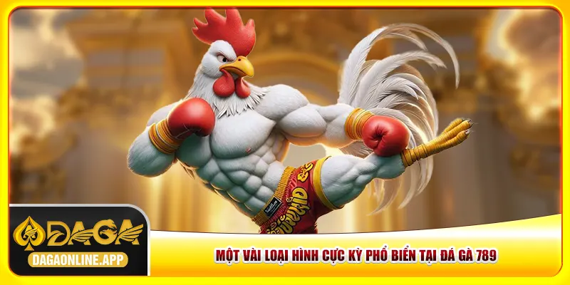 Một vài loại hình cực kỳ phổ biển tại đá gà 789