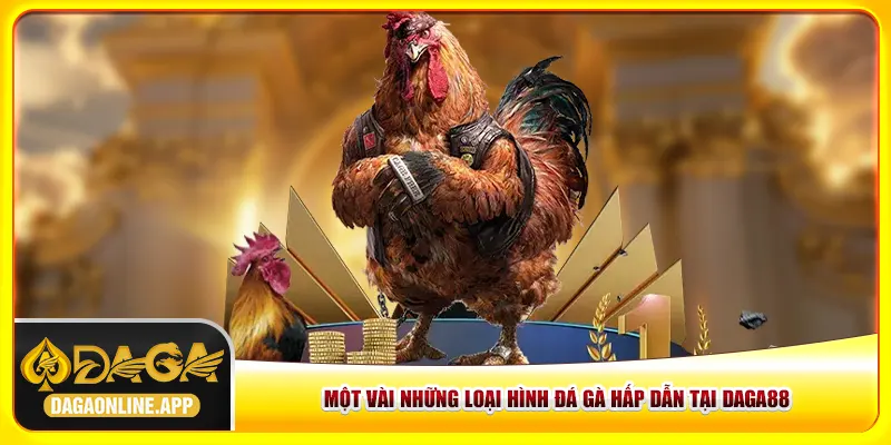 Những loại hình đá gà hấp dẫn tại Daga88