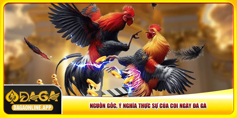 Nguồn gốc, ý nghĩa thực sự của coi ngày đá gà