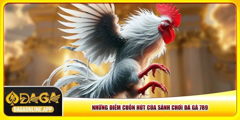 Những điểm cuốn hút của sảnh chơi đá gà 789