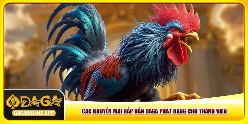 Các khuyến mãi hấp dẫn Daga phát hàng cho thành viên