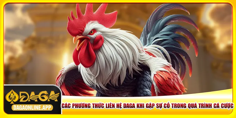 Các phương thức liên hệ daga khi gặp sự cố trong quá trình cá cược