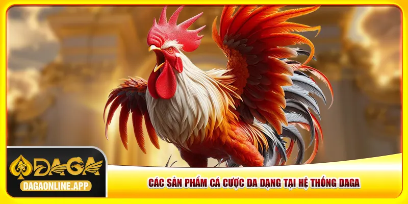 Các sản phẩm cá cược đa dạng tại hệ thống daga