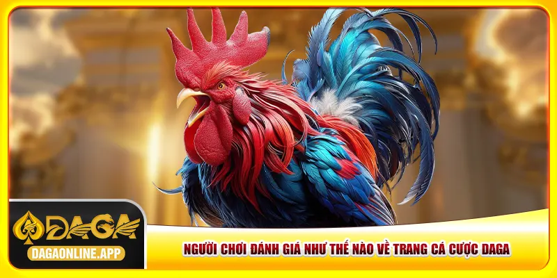 Người chơi đánh giá như thế nào về trang cá cược Daga