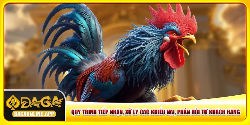 Quy trình tiếp nhận, xử lý các khiếu nại, phản hồi từ khách hàng