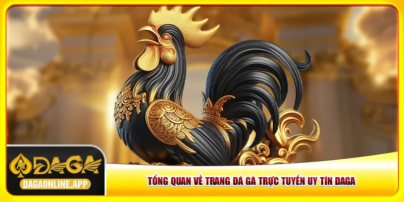 Tổng quan về trang đá gà trực tuyến uy tín daga